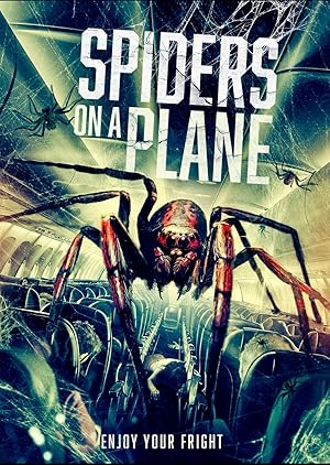 Spiders on a Plane (2024)