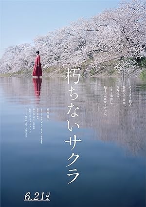 Sakura (2024)