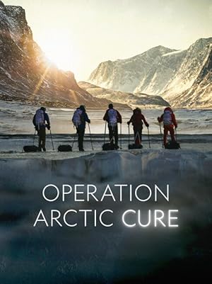 Operation Arctic Cure (2024)