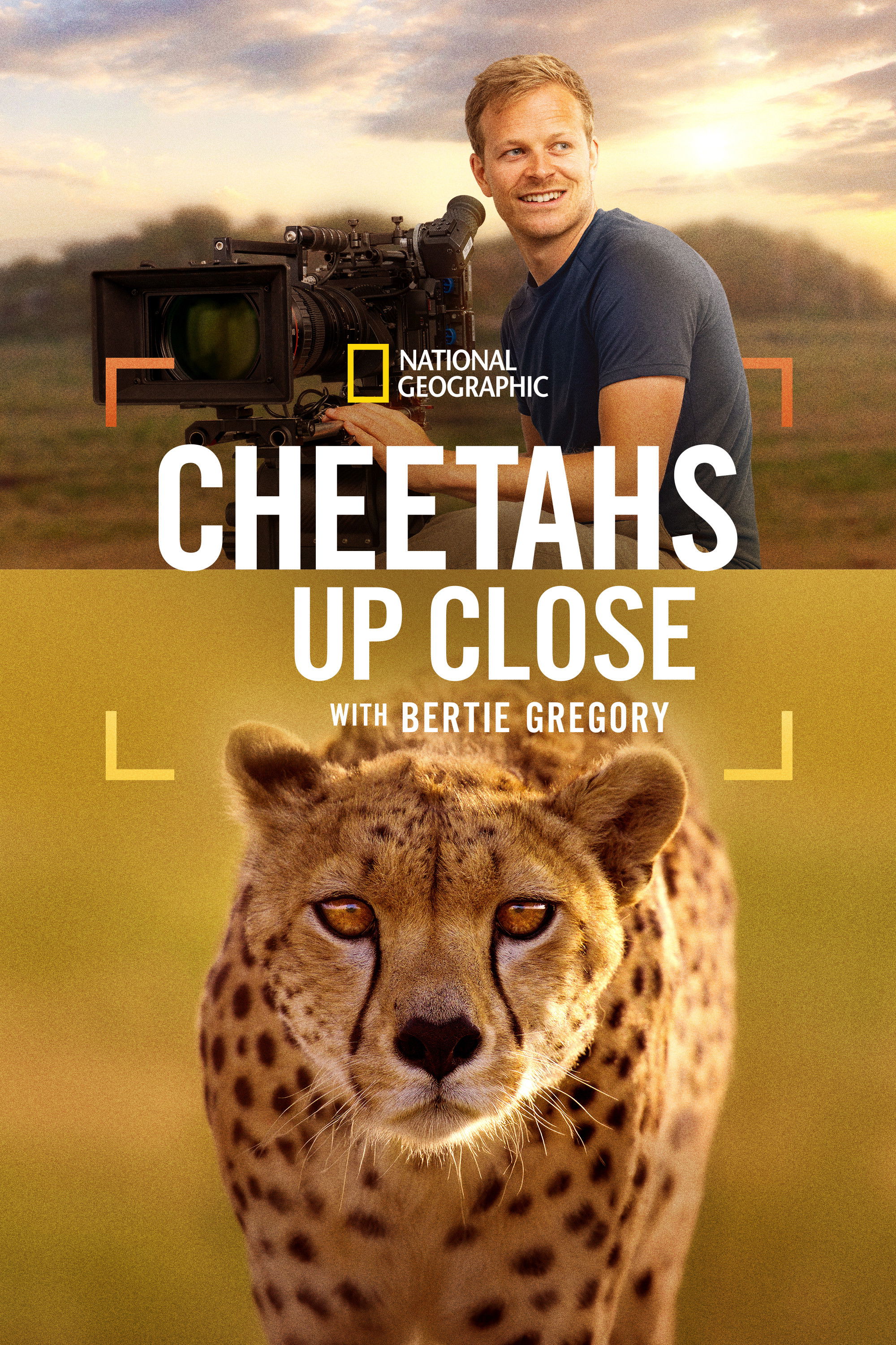 Cheetahs Up Close with Bertie Gregory (2026)