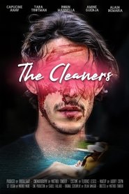 Vacuum Cleaner Salesman (2022)